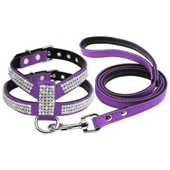 Rhinestone Leather Pet Harness & Leash Set