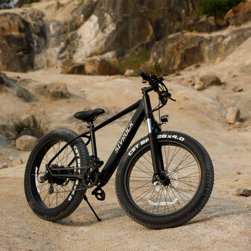 Professional Electric Bike For Adults, 26 X 4.0 Inches Fat Tire Electric Mountain Bicycle UL And GCC Certified